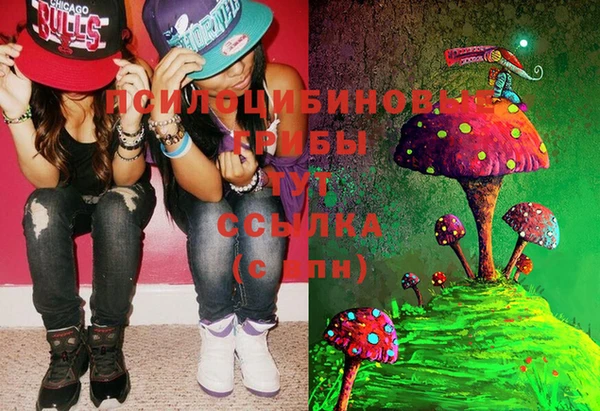 мдма Козловка
