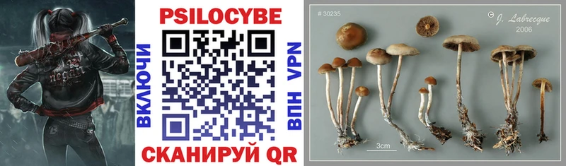 Псилоцибиновые грибы ЛСД  Купить где  Вышний Волочёк 