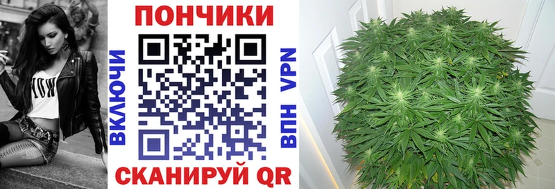 Купить где  Вышний Волочёк  Бошки марихуана ГИДРОПОН 